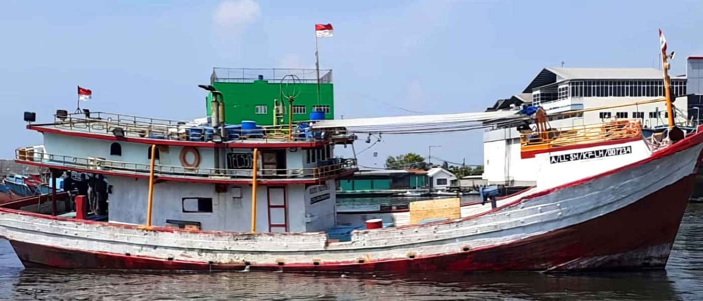 PANCING ULUR TUNA 2